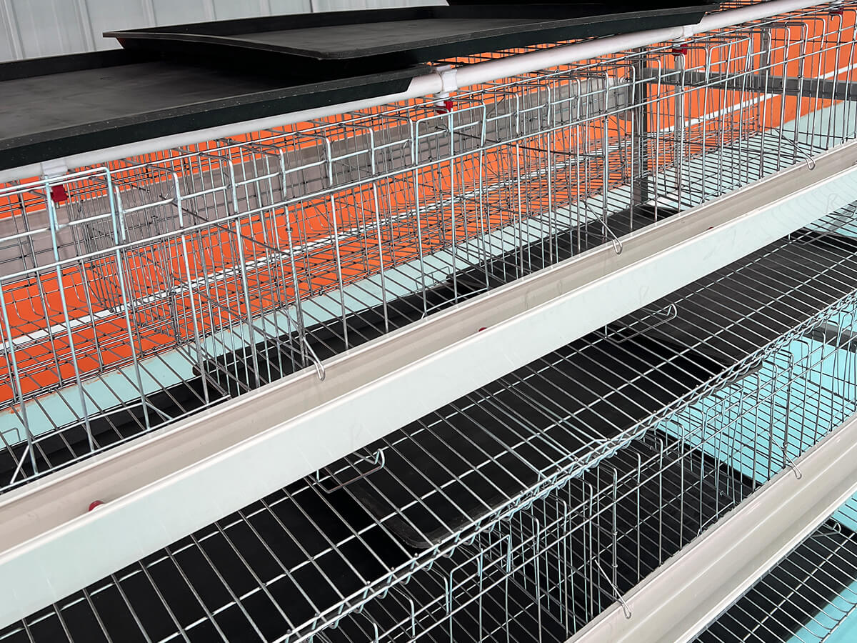 Cage Door and Feed Trough