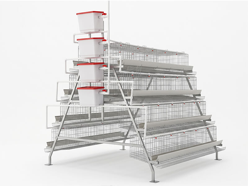 A Type Layer Cage