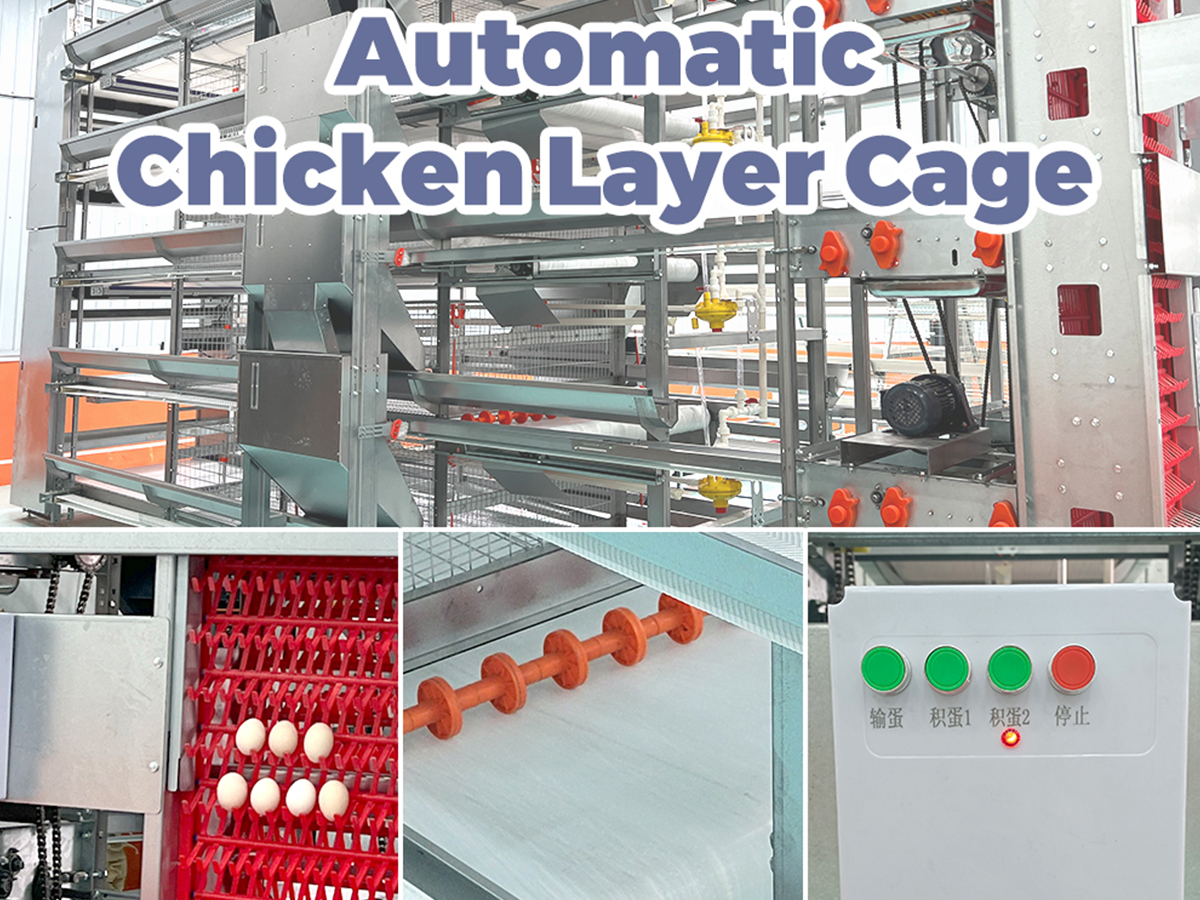 Centralized Control Panel